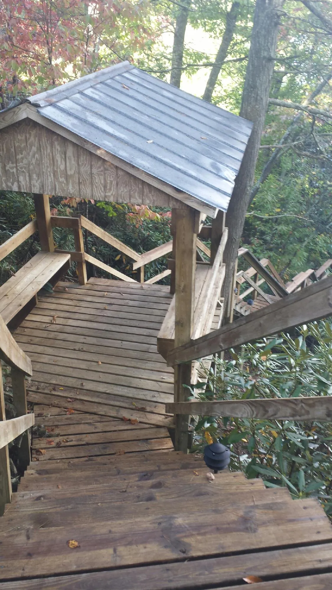 Metal roofed shelter over wooden steps on a wooded walkway — Skylight Repair & Installation work by our crew in Walnut Grove